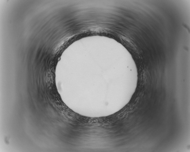 X0000102390776200808291422