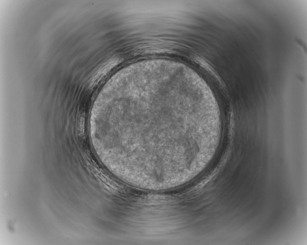 X0000102390777200808291422