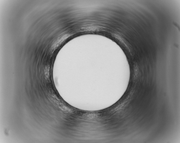 X0000102390778200808291422