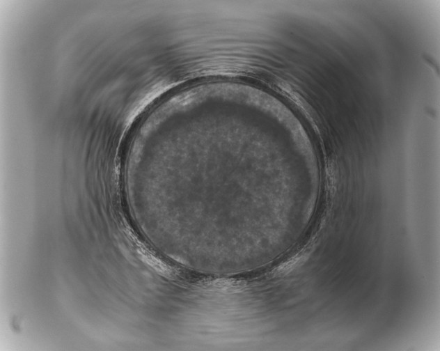 X0000102390779200808291422