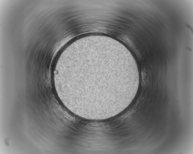 X0000102390780200808291422