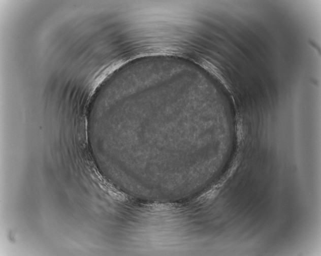 X0000102390781200808291422