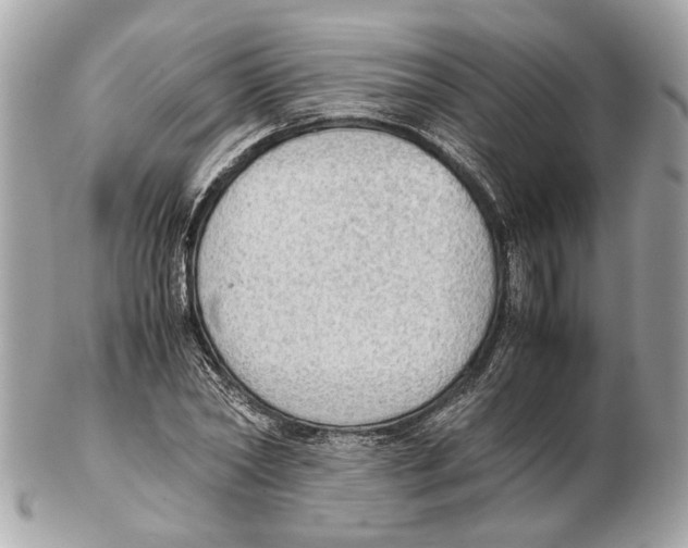 X0000102390782200808291422