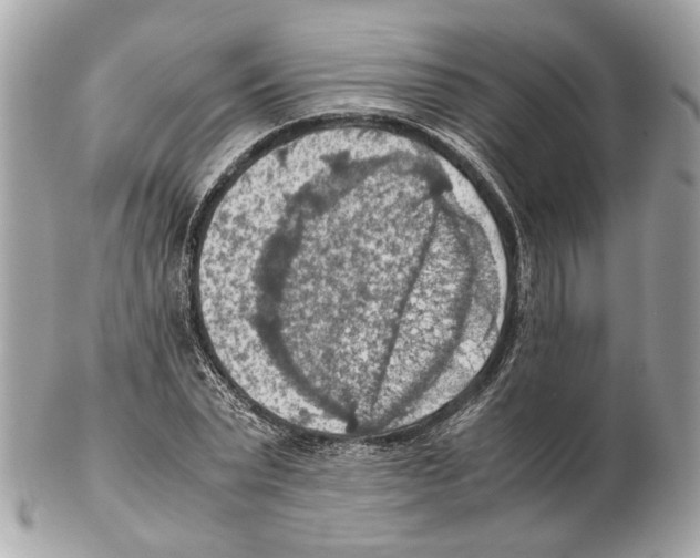 X0000102390783200808291422