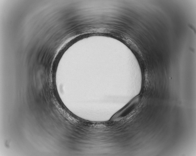 X0000102390784200808291422