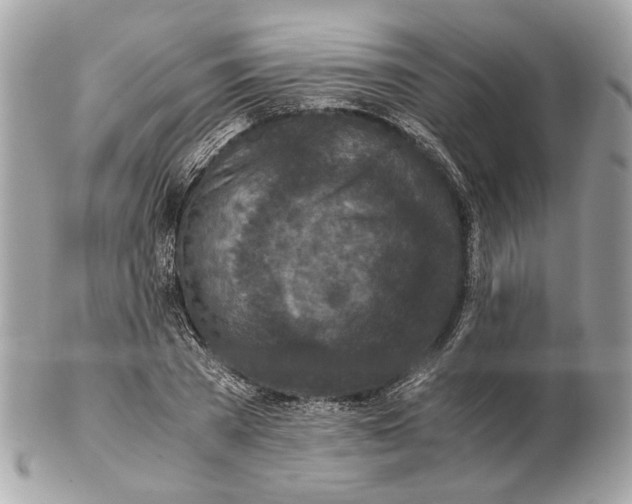 X0000102390785200808291422