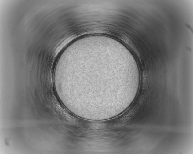 X0000102390789200808291422