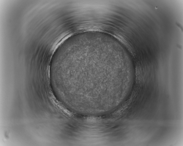 X0000102390790200808291422