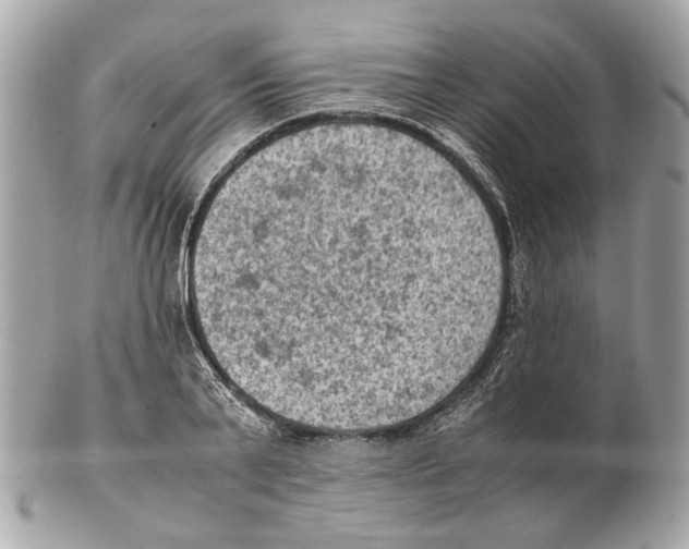 X0000102390791200808291422