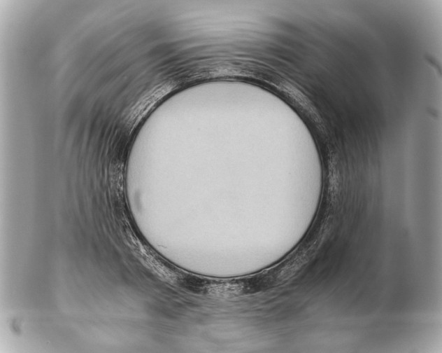 X0000102390793200808291422