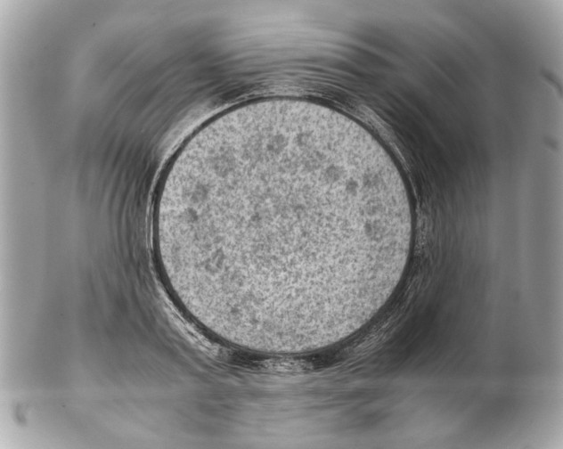 X0000102390795200808291422