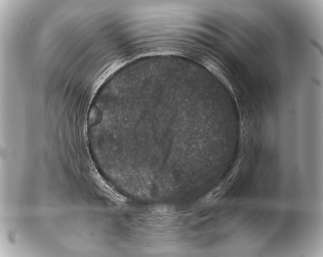 X0000102390797200808291422