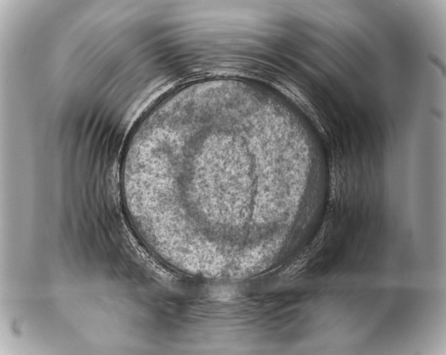 X0000102390798200808291422
