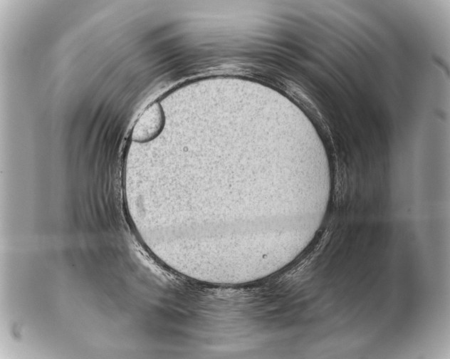 X0000102390800200808291422