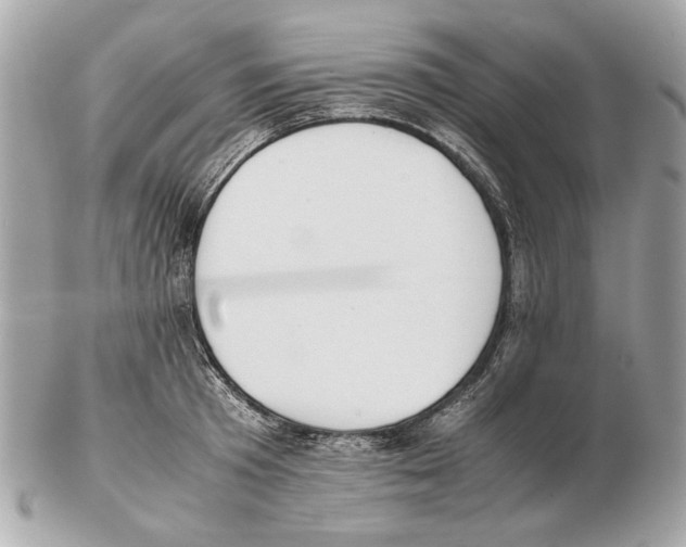 X0000102390801200808291422
