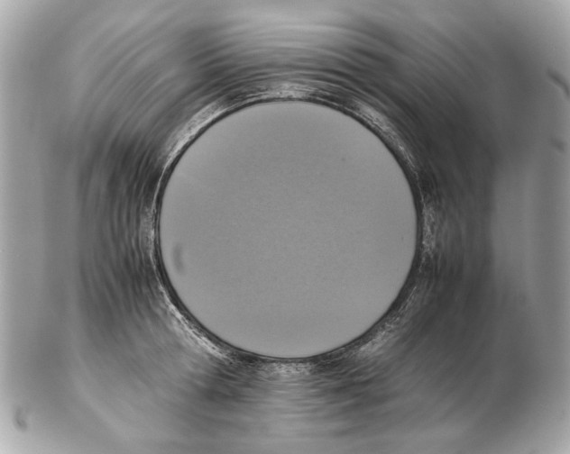 X0000102390802200808291422