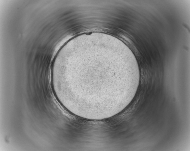 X0000102390804200808291422