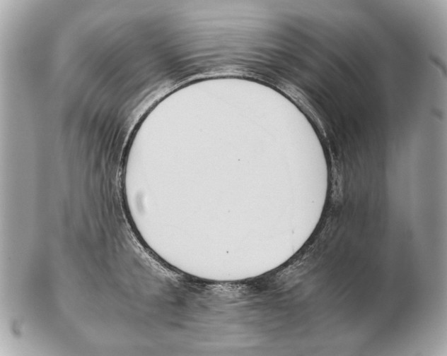 X0000102390805200808291422
