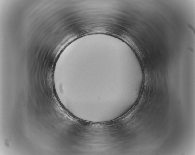 X0000102390806200808291422