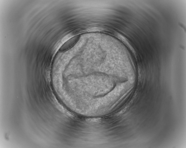 X0000102390810200808291422