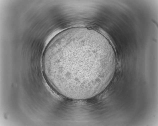 X0000102390811200808291422