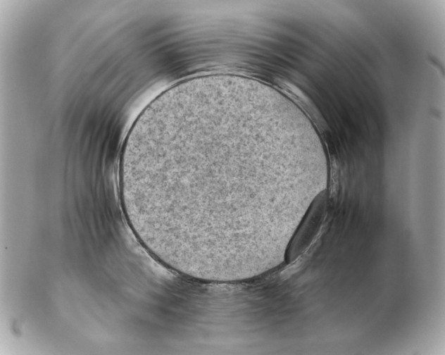 X0000102390812200808291422