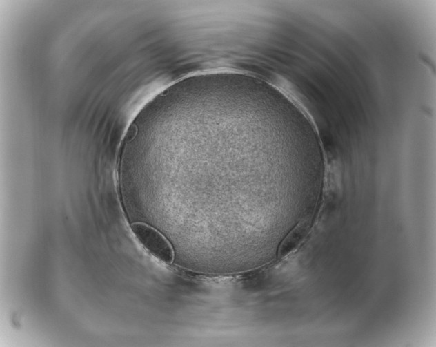 X0000102390813200808291422