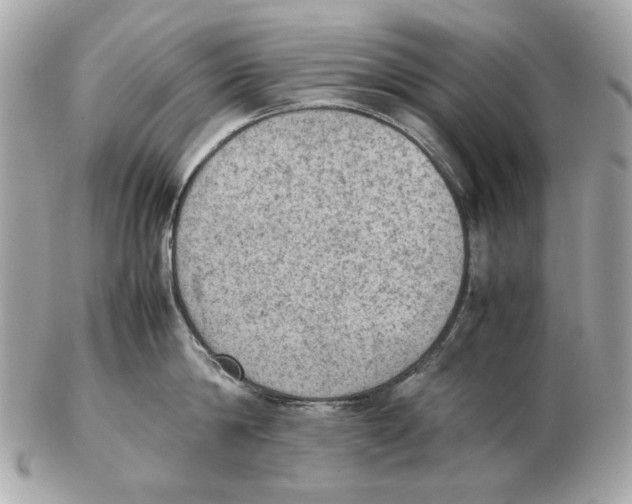 X0000102390814200808291422