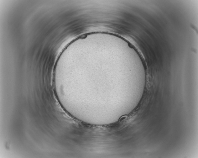 X0000102390815200808291422
