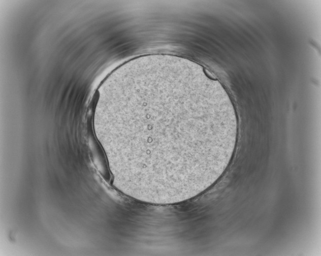 X0000102390816200808291422