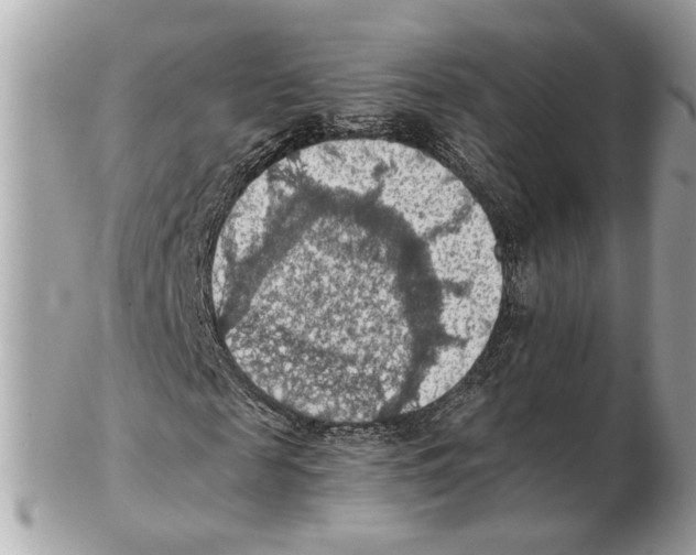X0000102390817200808291421