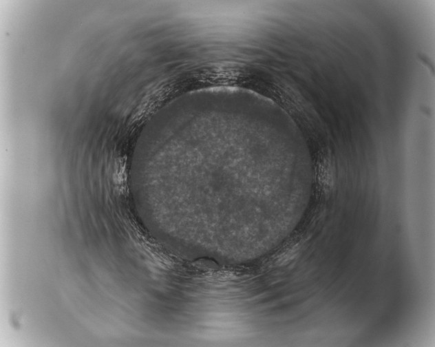 X0000102390818200808291421