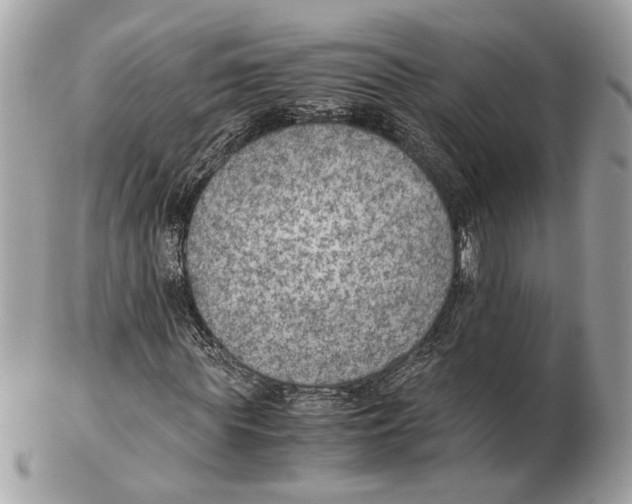 X0000102390819200808291421