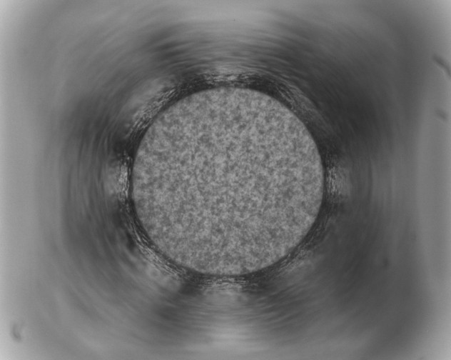 X0000102390820200808291421