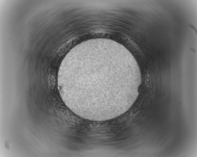 X0000102390821200808291421