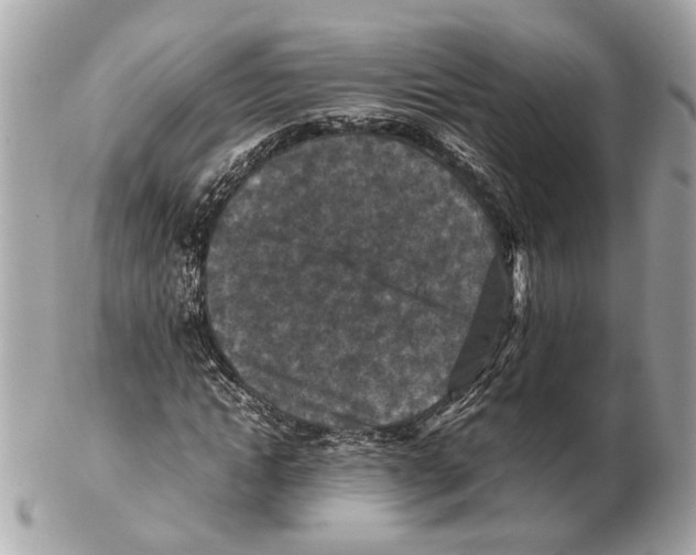 X0000102390822200808291421