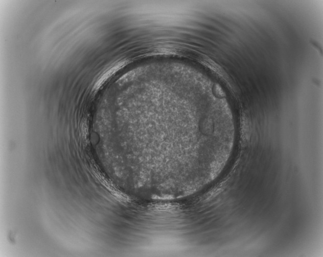 X0000102390826200808291421