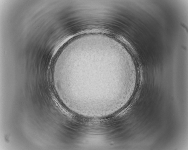 X0000102390828200808291421