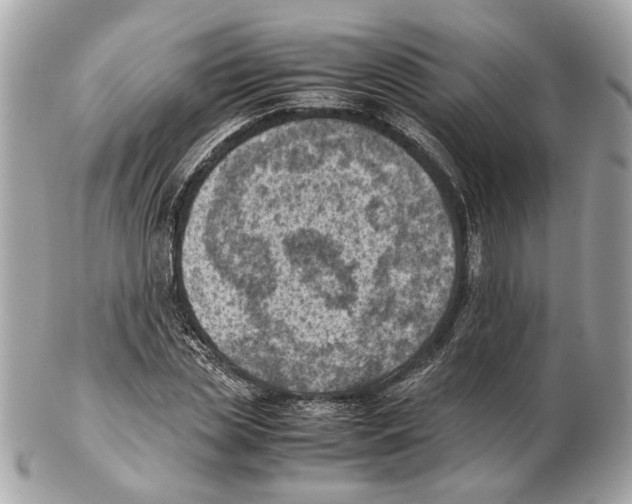 X0000102390829200808291421