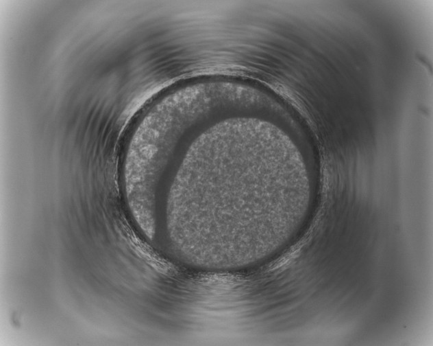 X0000102390830200808291421
