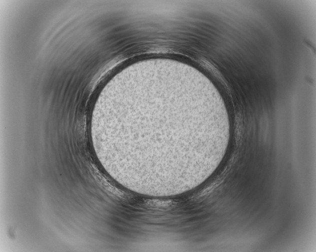 X0000102390831200808291421