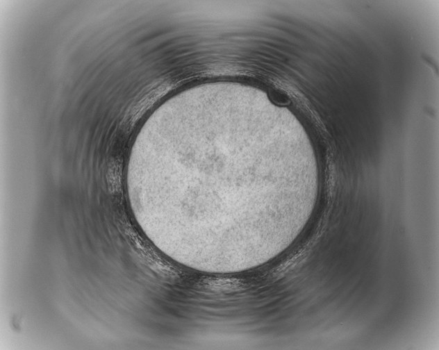 X0000102390833200808291421