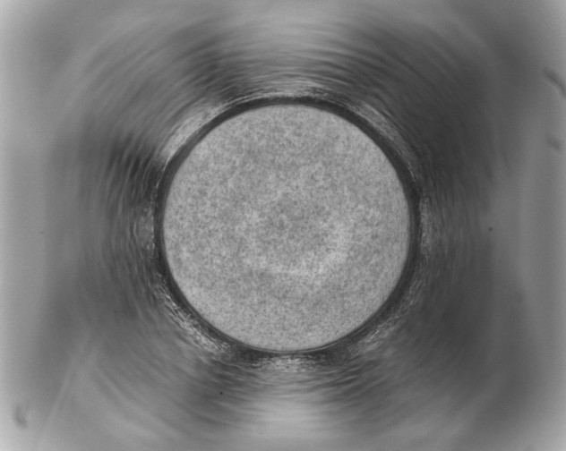 X0000102390834200808291421
