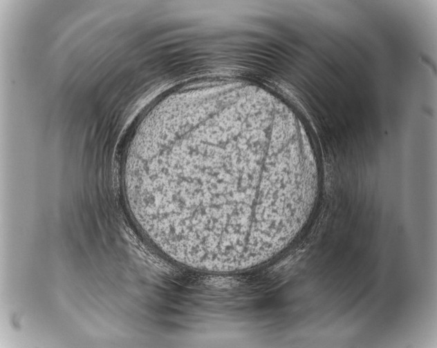 X0000102390835200808291421
