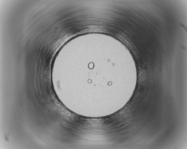 X0000102390836200808291421