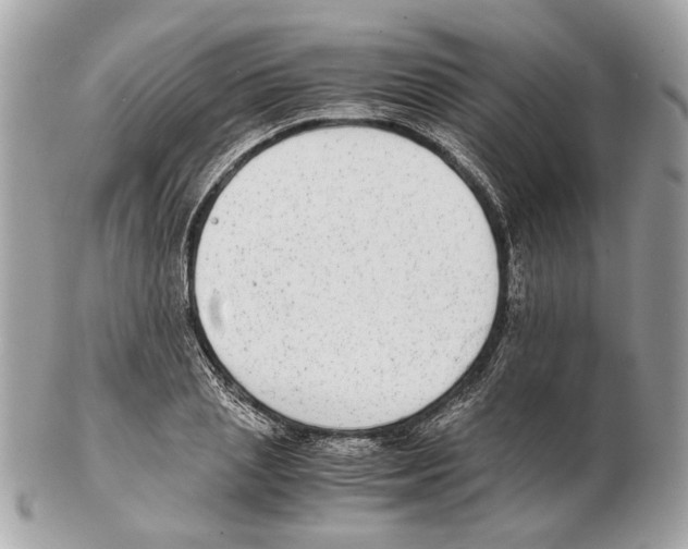 X0000102390837200808291421