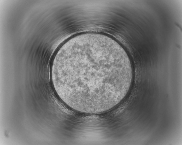 X0000102390838200808291421