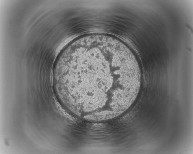 X0000102390839200808291421