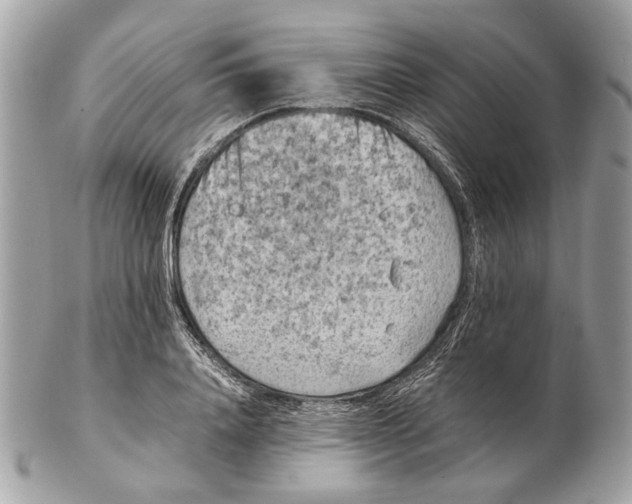 X0000102390840200808291421
