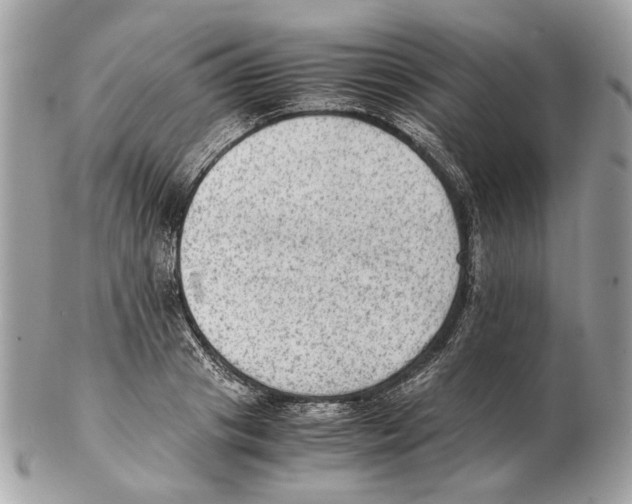 X0000102390841200808291421